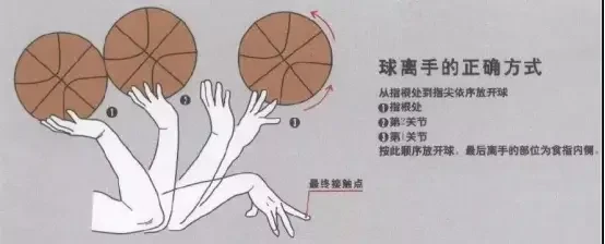 学校篮球队训练受伤谁负责_1